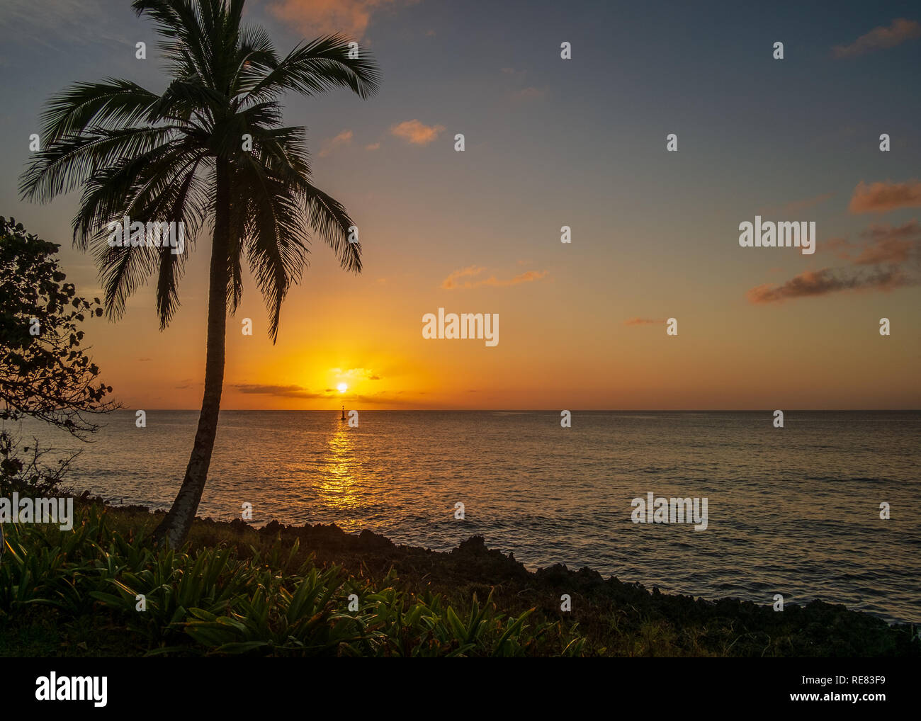 Beautiful sunset palm tree on hi-res stock photography and images - Alamy
