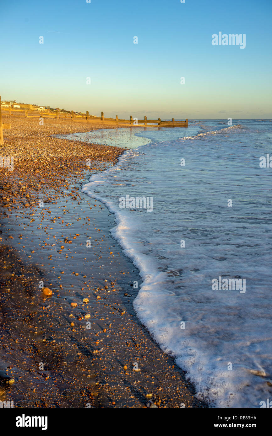 is cooden beach dog friendly