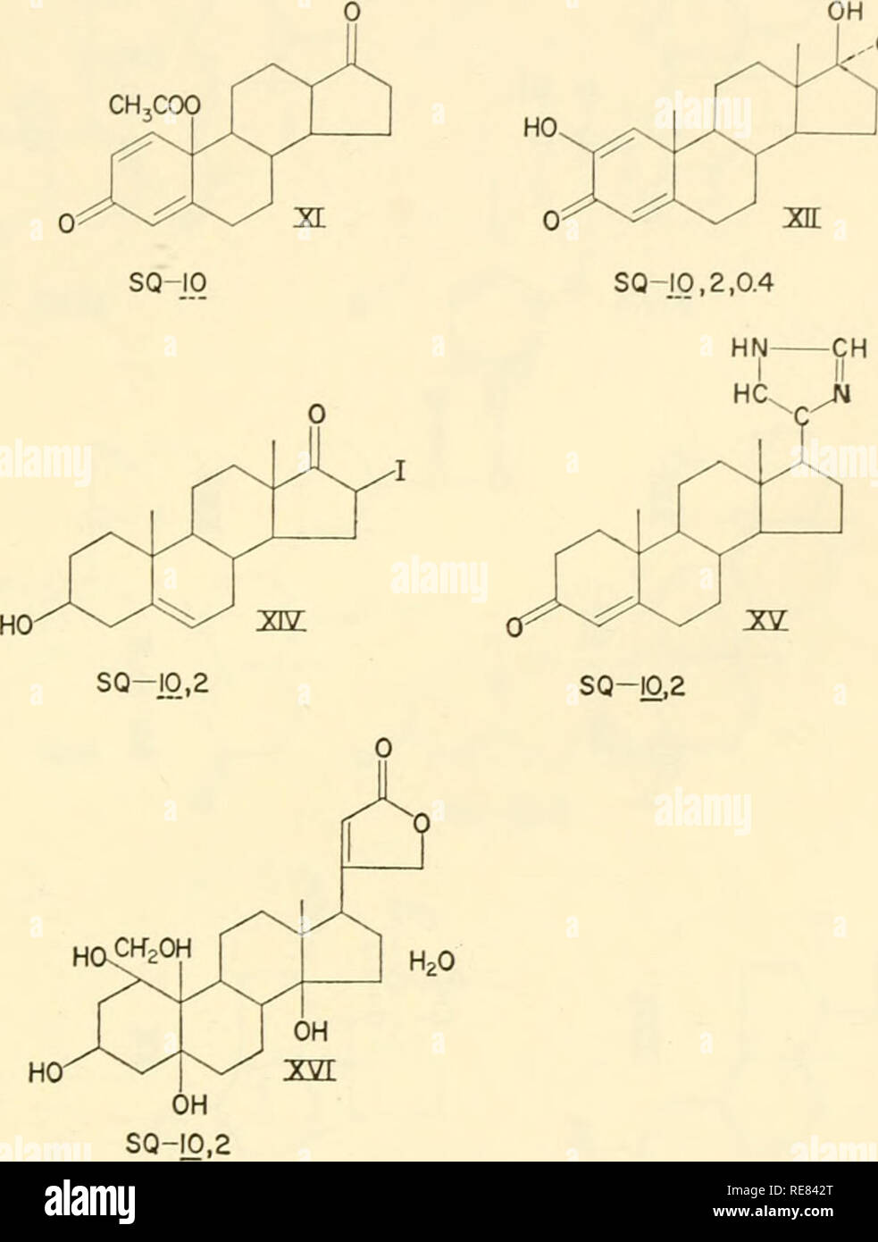 . Control of ovulation; proceedings of the conference held at Endicott House, Dedham, Massachusetts, 1960. Ovulation -- Regulation. 0'/ ^^ ^^ SK SQHq,2,0.4,0.08. ,-CH, Fig. 3. Androgens and derivatives. (Dosage in milligrams. SQ = subcutaneous injection; O = by gavage.) low potency and the other (XIX) is inconsistently active by injection and of low potency by mouth, and Il-keto-A«-progesterone (XXI) which is of moderate potency by injection. In Fig. 5, among the 21-substituted pro- gesterone derivatives only 21-fluoroprogesterone (XXVI) shows consistent activity to a dosage as low as 0.4 mg p Stock Photo