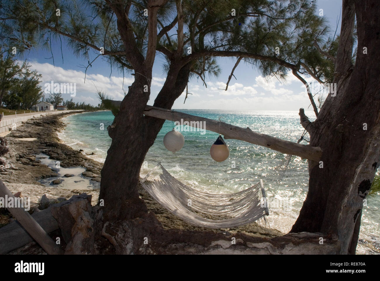 Hammocks on the beach next to Seaside bar restaurant and cocktails in