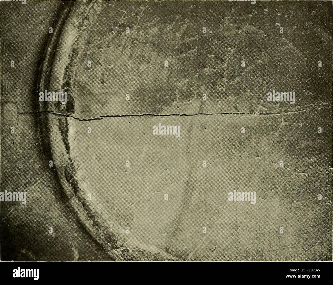 . Corrosion of materials in hydrospace Part III Titanium and