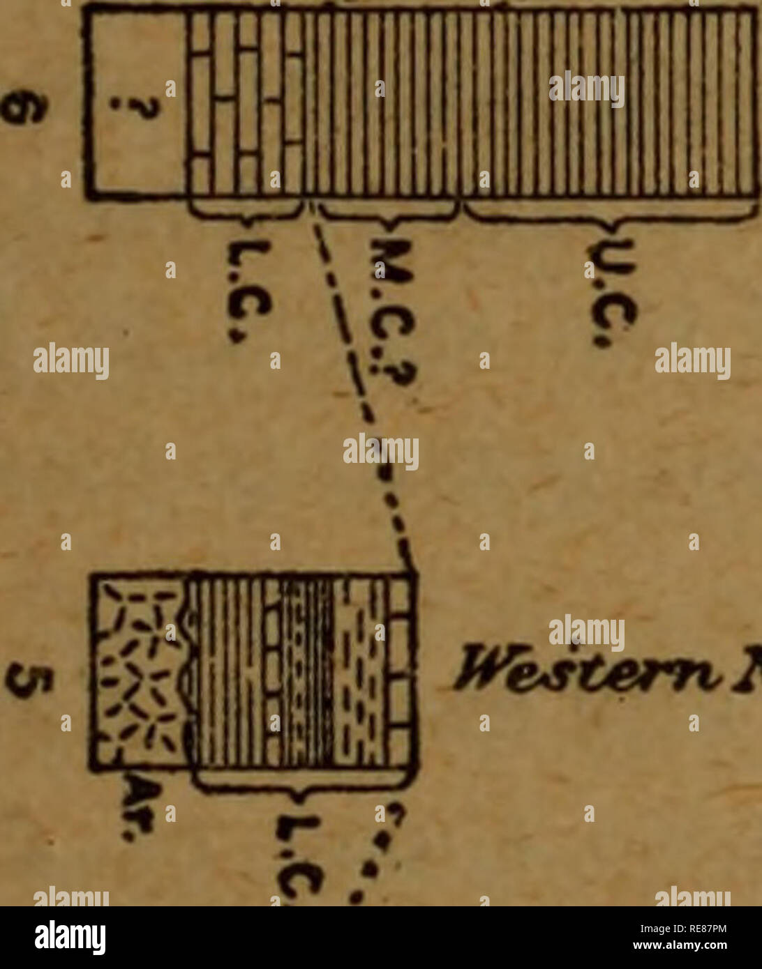 Correlation papers ; Cambrian. Geology, Stratigraphic; Geology