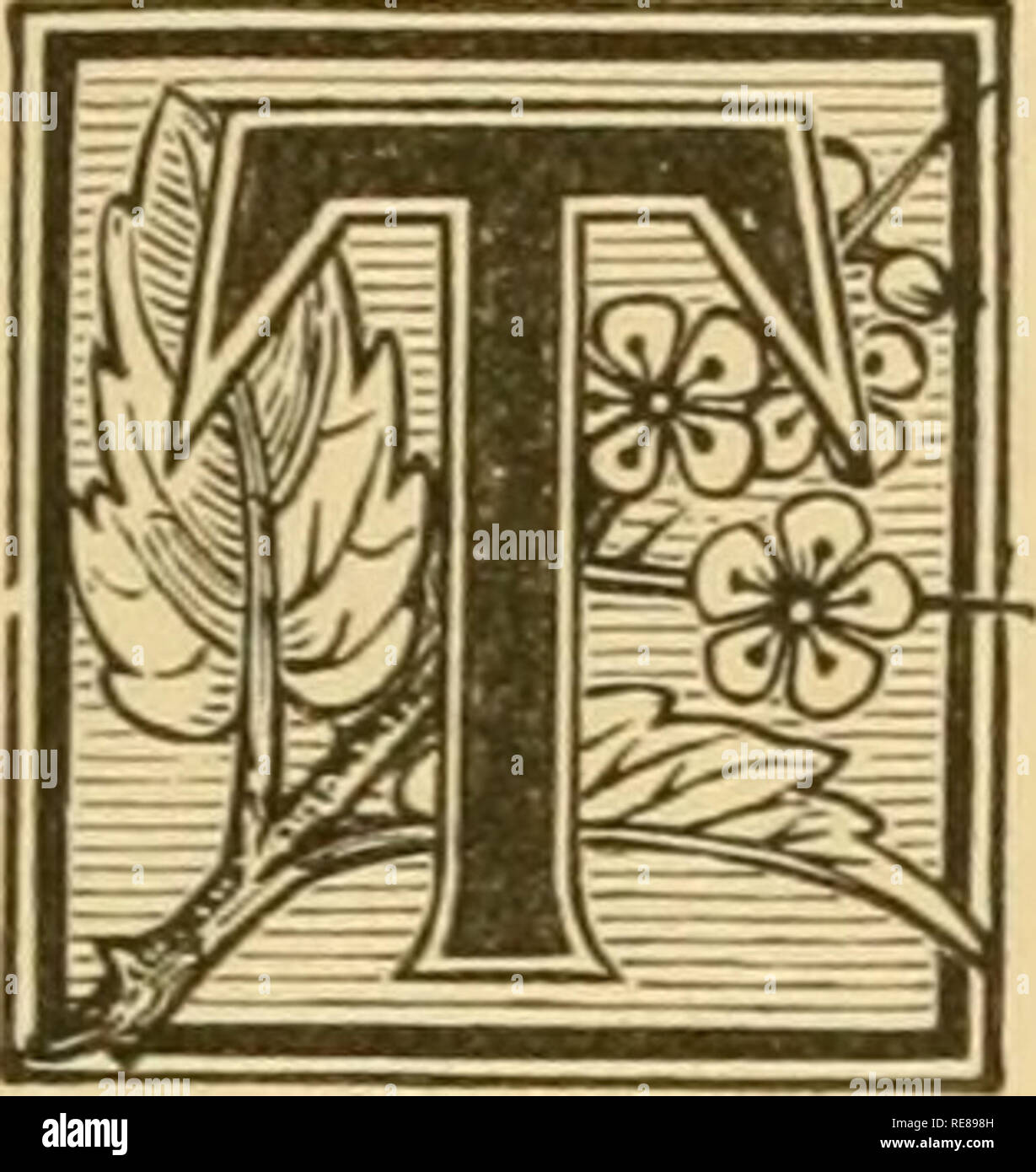 The Earth And Its Inhabitants Geography Quot Ra Gji Is 5 Lfi Ct Fc Iviil Mg E Ithjlfsp M 1 I Tt Quot Ts Ffl Chapter Vi Abyssinia Ethiopia He Name Quot Ethiopia Quot Like