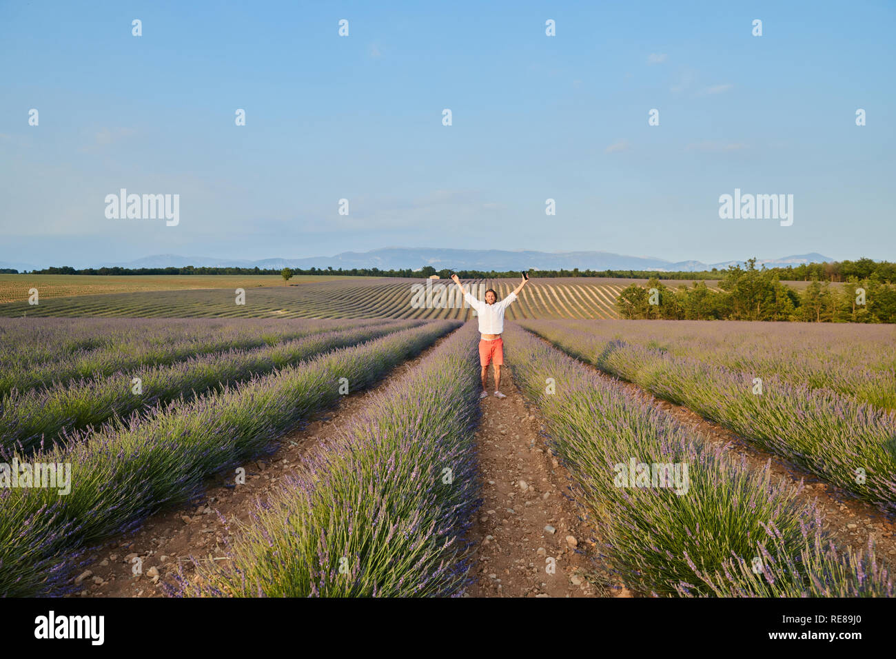 The beautiful brutal young man with long brunette hair poses in the field of lavender Stock Photo