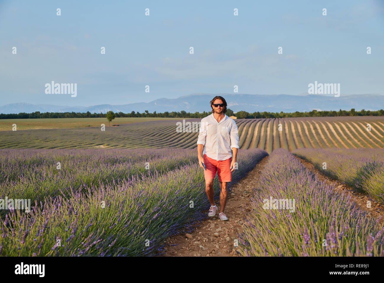 The beautiful brutal young man with long brunette hair poses in the field of lavender Stock Photo