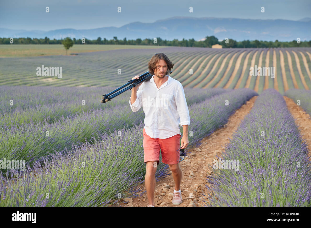 The beautiful young brutal man goes to a lavender field at sunset, he is dressed in a white shirt with a short sleeve and red shorts, the photographer Stock Photo