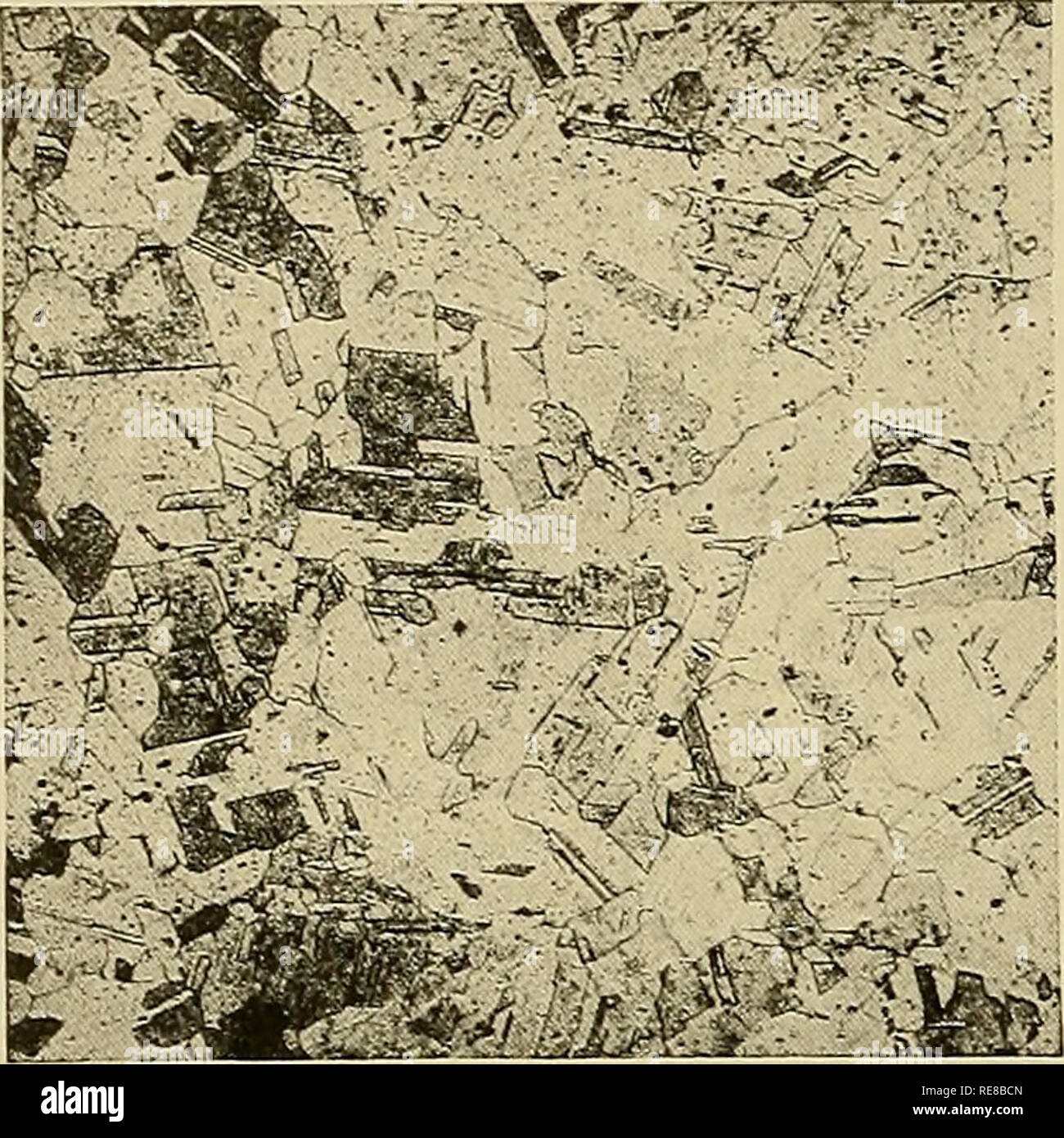 . Copper and copper base alloys the physical and mechanical