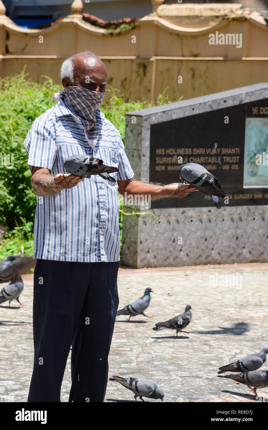 Feeding pigeons, Jain Temple, Cochin, Kochi, Kerala, India Stock Photo