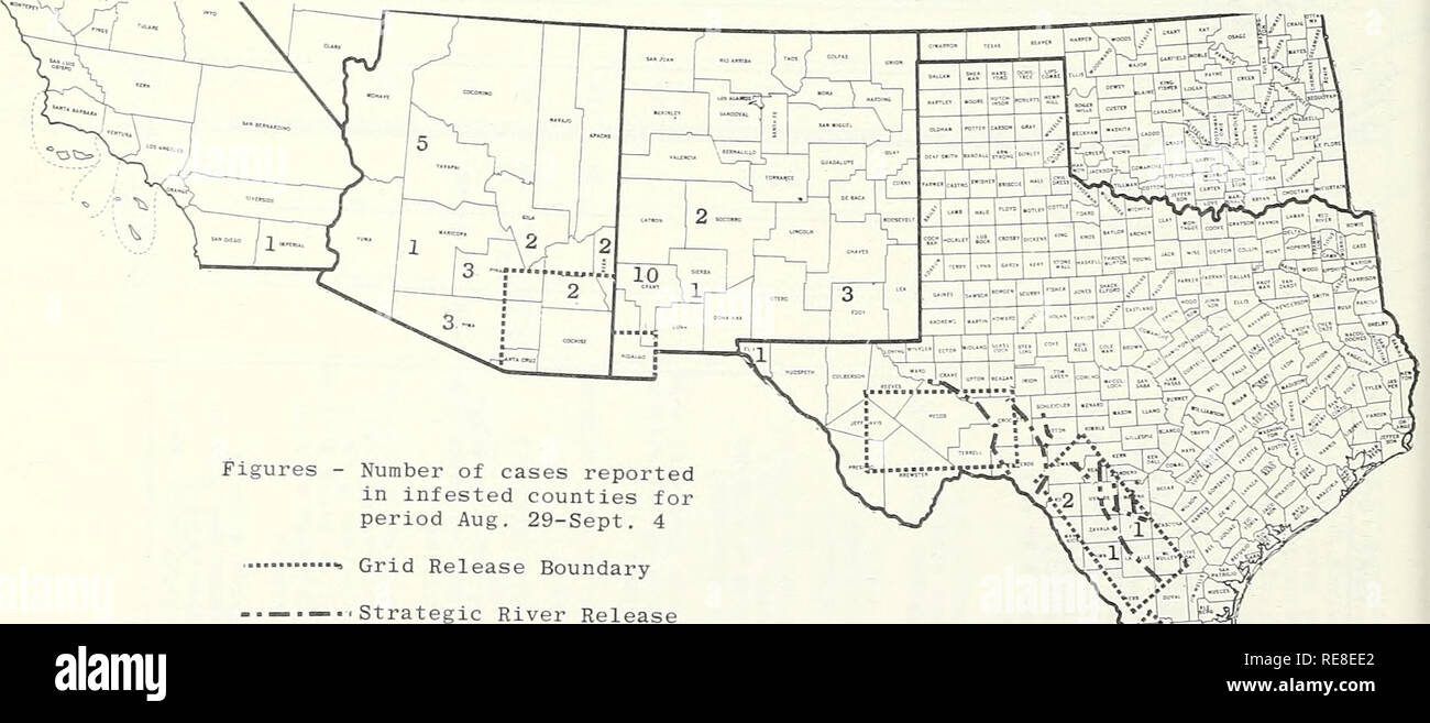 . Cooperative economic insect report. Insect pests Control United States Periodicals. - 1086 - STATUS OF THE SCREW-WORM (Cochliomyia hominivorax) IN THE SOUTHWEST During the period August 29-September 4 a total r,-f An ^o=-„^ Southwestern Eradication Area as Allows by State and county- TExT^V ^ *J6 Dimmit, El Paso and Frio 1 each- NEW MEXICO ?r!n? ?n w?', I  Kinney 2&gt; ARIZONA - Yavapai 5, Pima and pLl 3 eaS rr.w r^?' Socorro 2 *nd Sierra 1; Maricopa 1; CALIFORNIA - Imperial'l3 ^he'RepubSc S'SeS^SSd'lSS^:?1 Sonora 20, Chihuahua 21, Nuevo Leon 2 Duraneo 32 cLh.HU ? vf % cases; Potosi 6, Baja Stock Photo