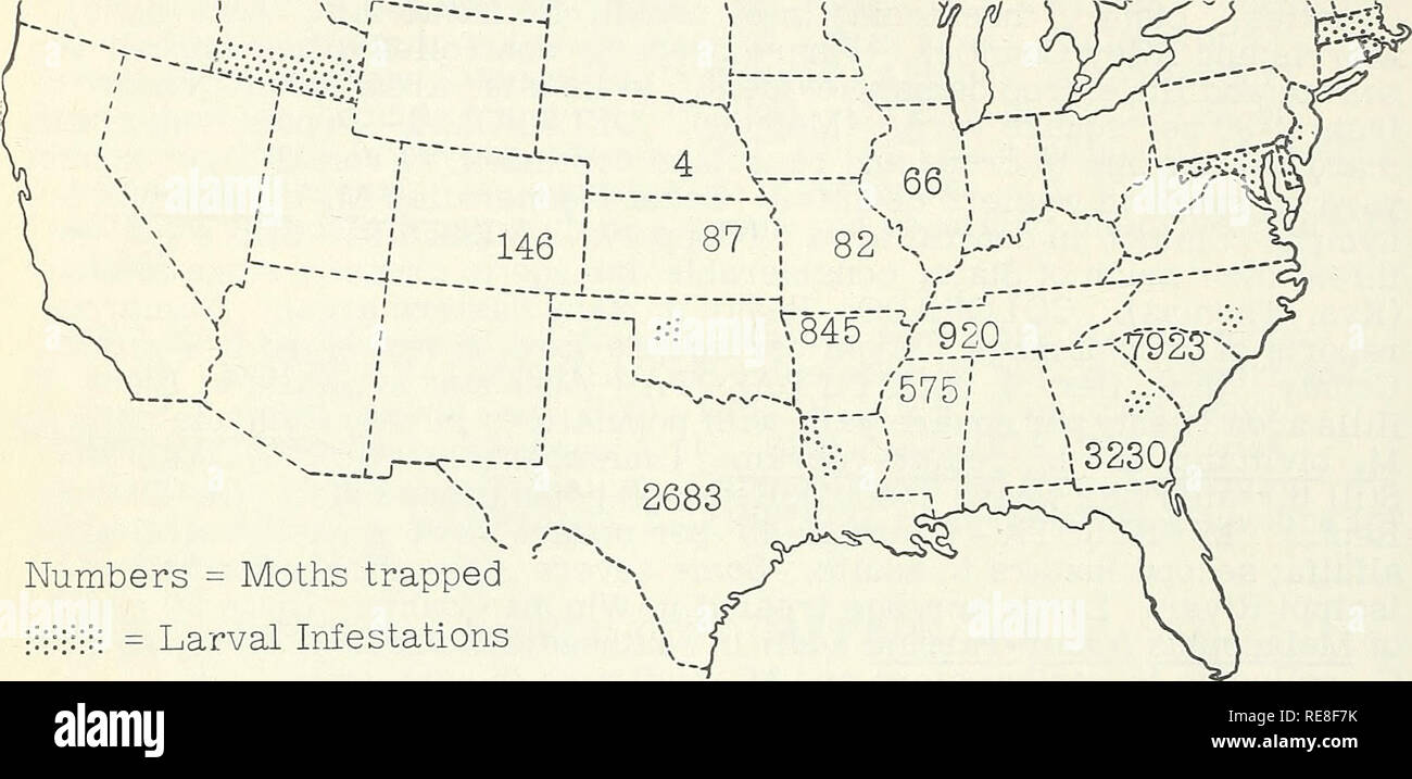 . Cooperative economic insect report. Insect pests Control United States Periodicals. - 812 - planted corn in southeast, as high as 68 egg masses per 100 plants. Second brood eggs still being found in central area, 10 per 100 plants. Sixty percent of second-brood moths in northwest. (Burdett). ARKANSAS Found for first time in Desha and Jefferson Counties. Light infestation, about 2 percent. (Warren, Harrendorf, Barnes). KANSAS - Very few larvae in Washington, Marshall and Pottawatomie Counties. (Matthew). Corn Earworm as reported &quot;Week Ending 8/11. CORN EARWORM (Heliothis zea) - MASSACHUS Stock Photo