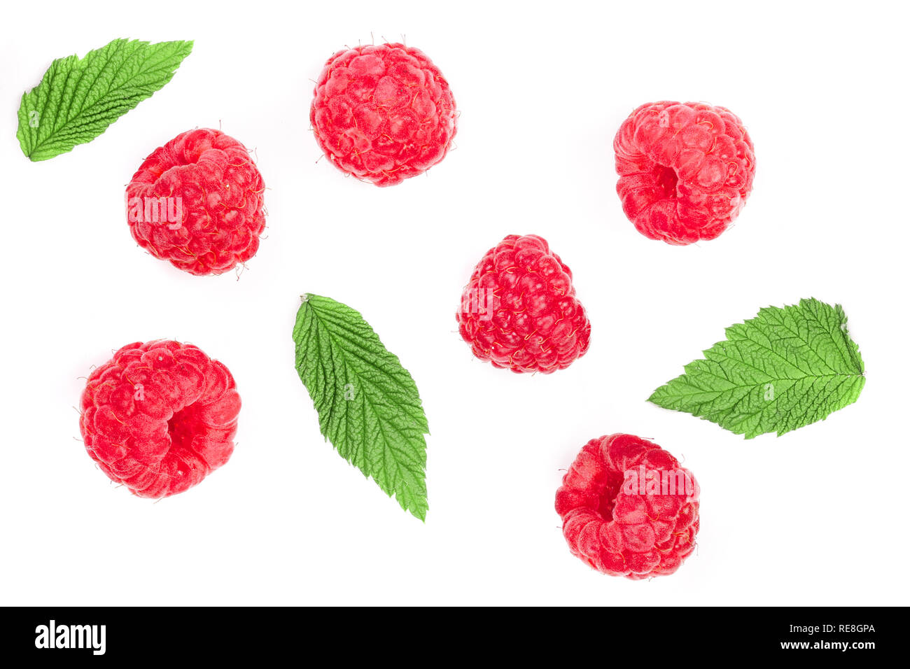 Raspberry Flat Lay raspberries with leaves isolated on white background. Top view. Flat ...