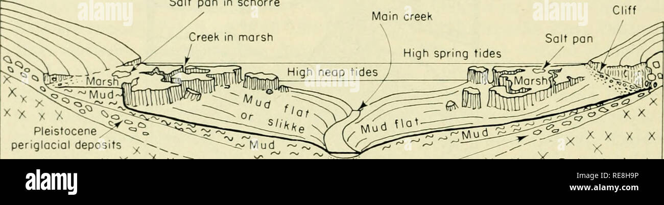 The Earth Beneath The Sea History Ocean Bottom Marine Geophysics 622 Guilcher Chap 24 Between The High Marsh And The Shkke A Transition Area Sometimes Occurs The Quot Low Marsh Haute Slikke