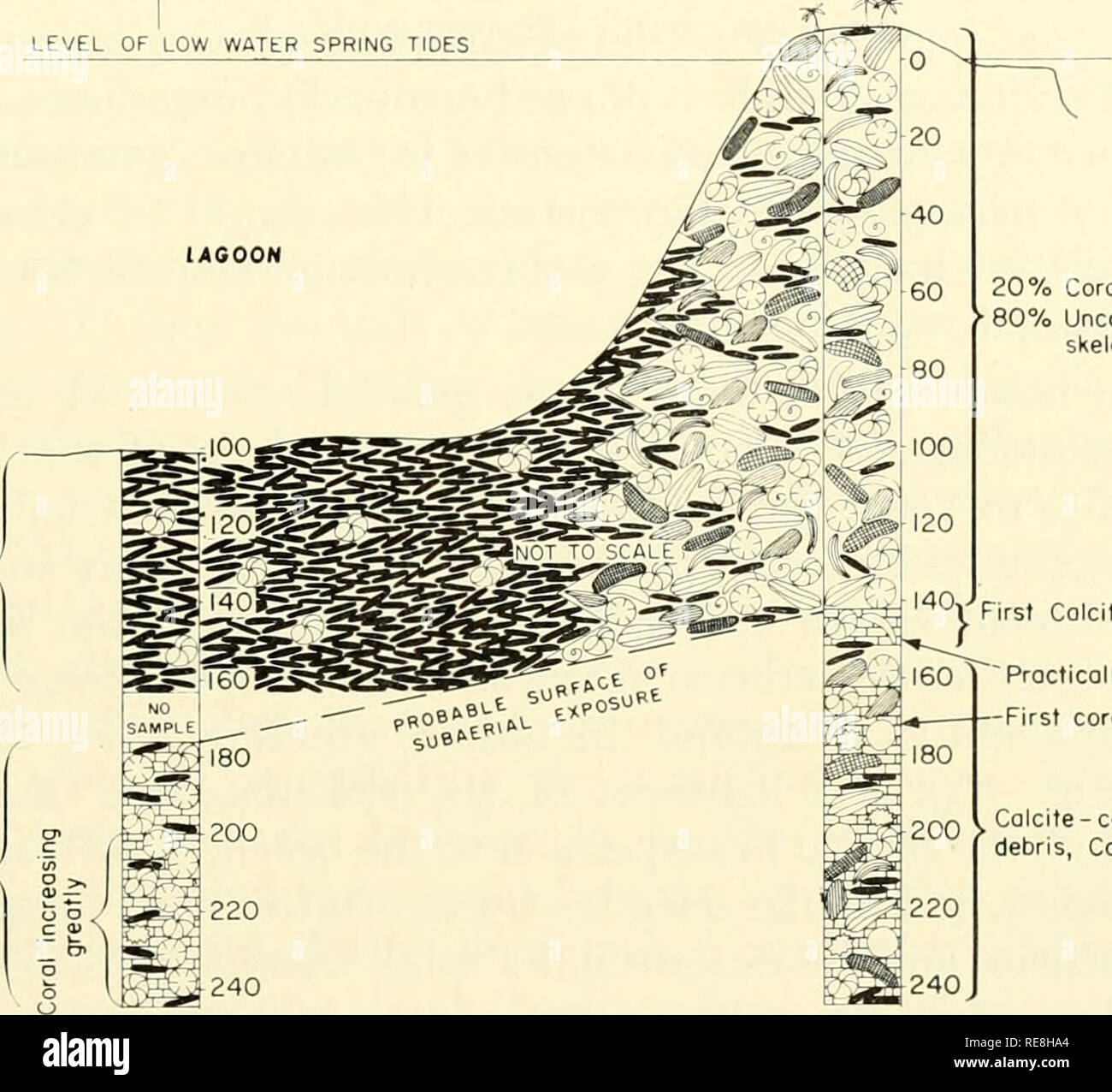 . The Earth beneath the sea : History. Ocean bottom; Marine geophysics ...