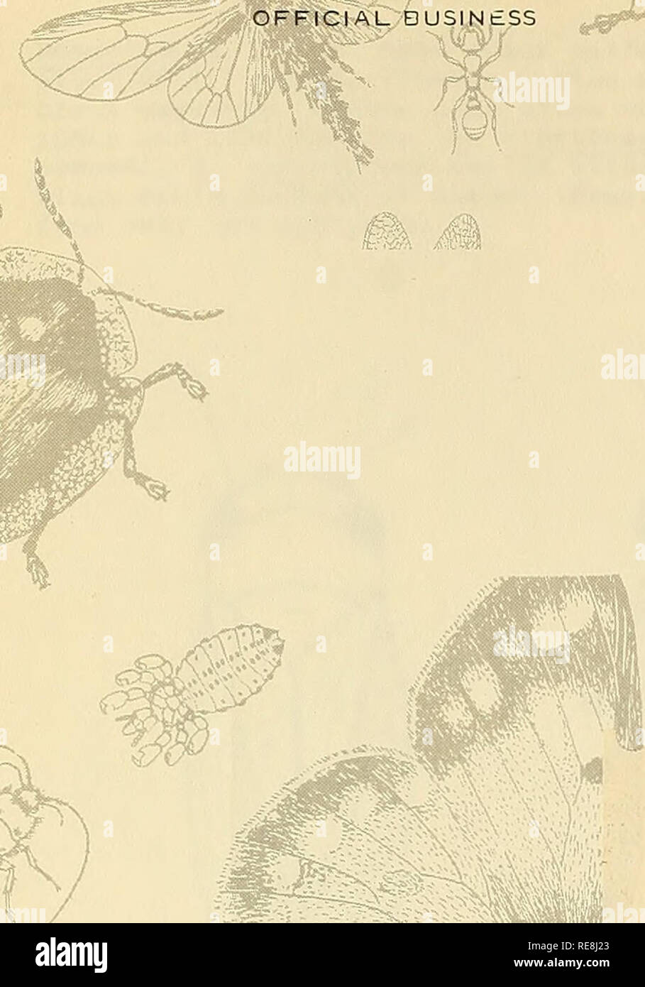 Booksubjectbeneficialinsects hires stock photography and images Alamy