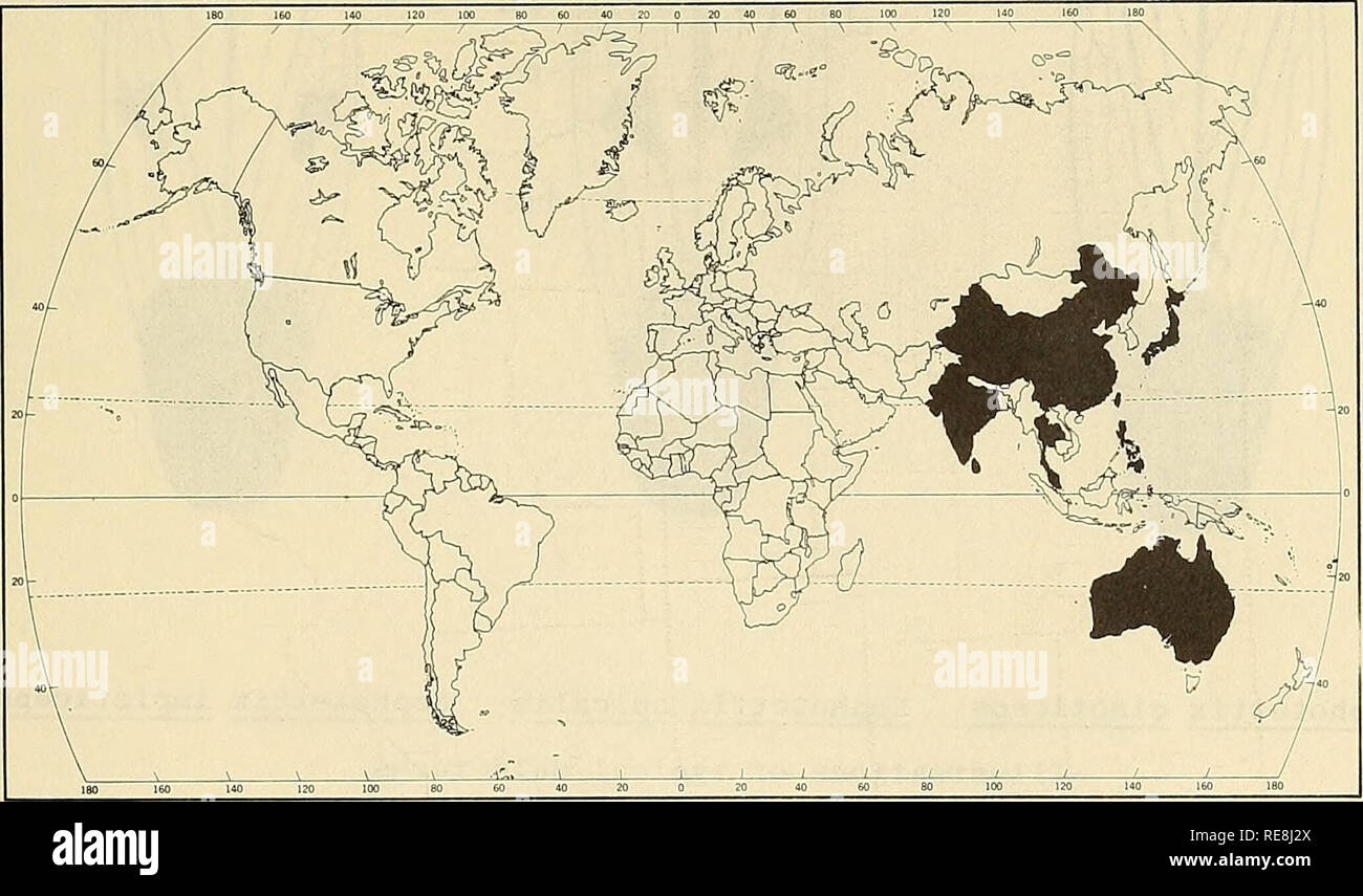 . Cooperative economic insect report. Beneficial insects; Insect pests