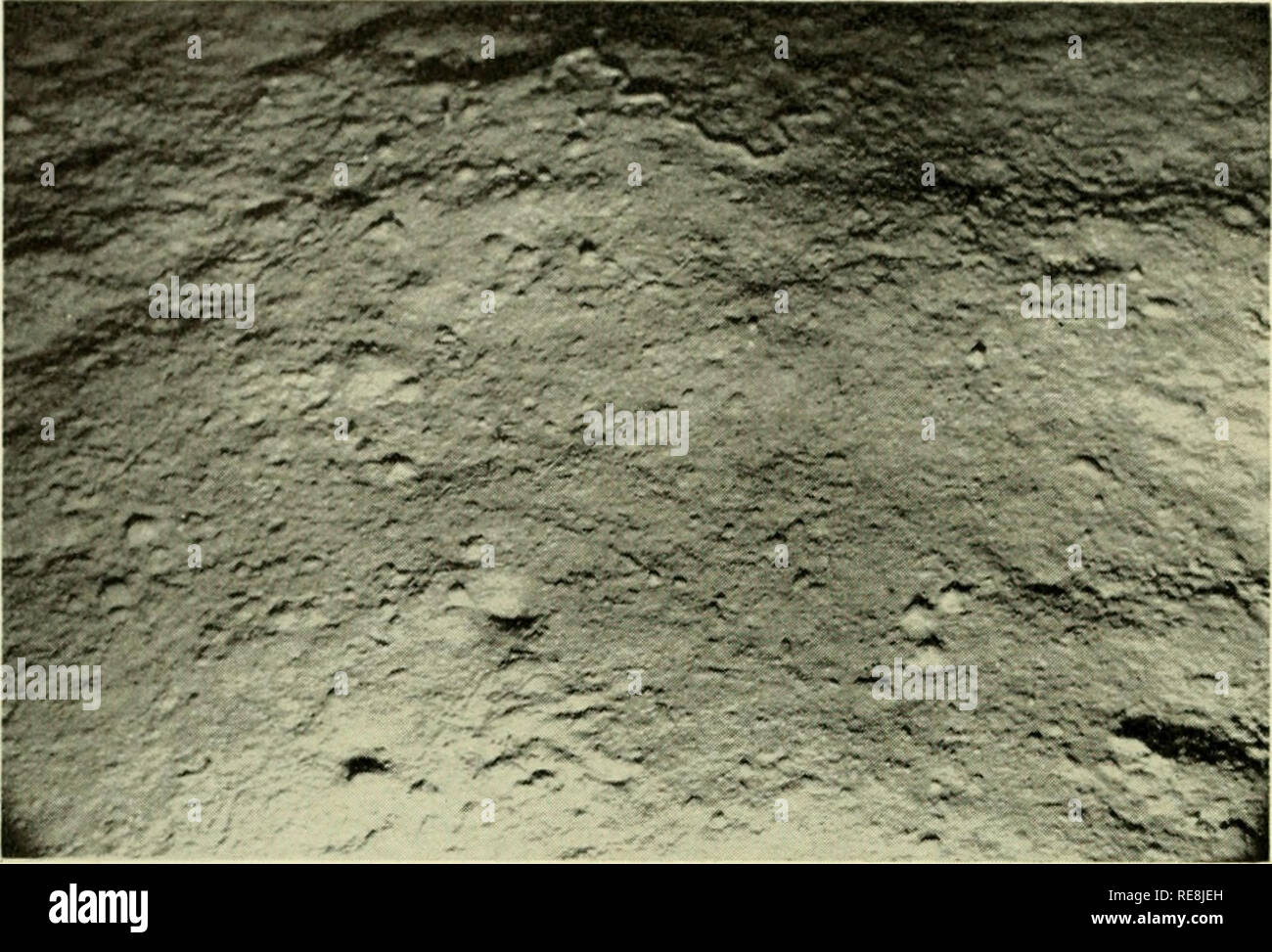 The Earth Beneath The Sea History Ocean Bottom Marine Geophysics 450 Laughton Chap 18 Fig 18 41 22 N 14 24 W Depth 5340 M Iberia Abyssal Plain Area Of Picture 1