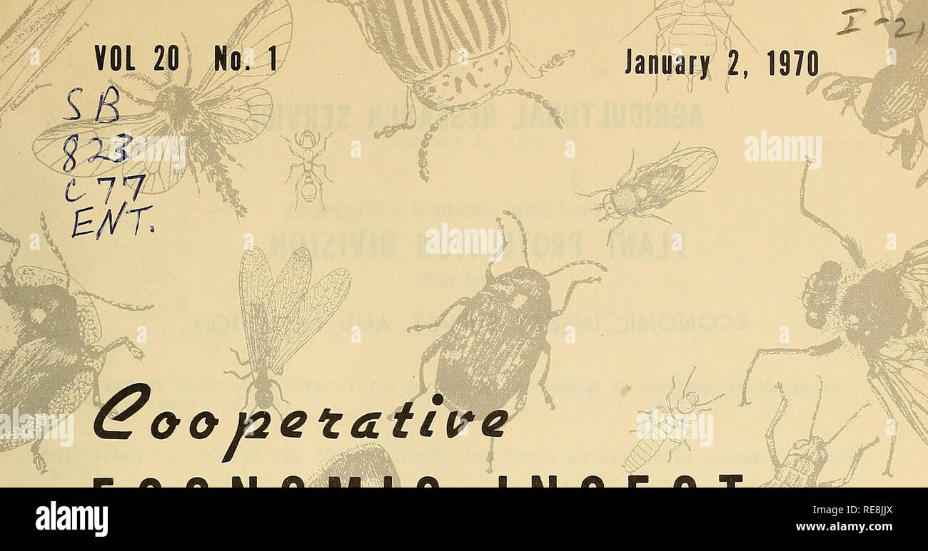 . Cooperative economic insect report. Beneficial insects; Insect pests. j^ January 2, 1970. Please note that these images are extracted from scanned page images that may have been digitally enhanced for readability - coloration and appearance of these illustrations may not perfectly resemble the original work.. United States. Animal and Plant Health Service. Plant Protection and Quarantine Programs; United States. Bureau of Entomology and Plant Quarantine; United States. Plant Pest Control Division. Hyattsville, MD. [etc. ] Plant Protection and Quarantine Programs Animal and Plant Health Servi Stock Photo