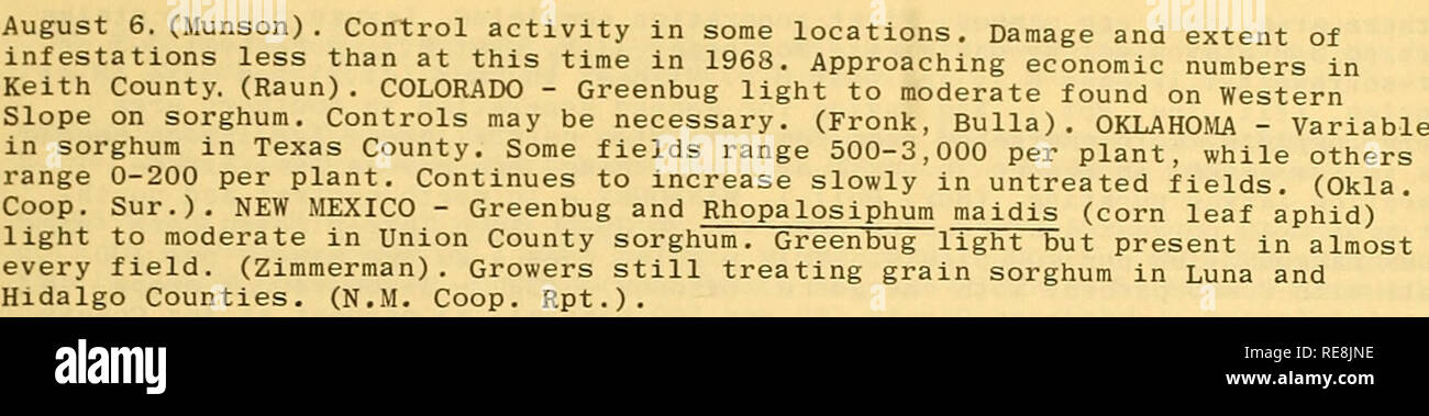 . Cooperative economic insect report. Beneficial insects; Insect pests. 639 -. POTATO LEAFHOPPER (Empoasca fabae) - MICHIGAN - Very low in central and southwest areas. Highest counts 2 adults and 1 nymph per 100 sweeps of alfalfa. (Janes, Aug. 4). OHIO - Adults barely economic, ranged 8-12 per sweep in northeastern area alfalfa. Feeding damage light with few moderate and none severe. (Richter). MARYLAND - None on alfalfa in Talbot, Dorchester, Wicomico, and Somerset Counties. In western counties highest counts in 2-acre field, ranged 22-28 per sweep. Most fields in central area negative. Appea Stock Photo
