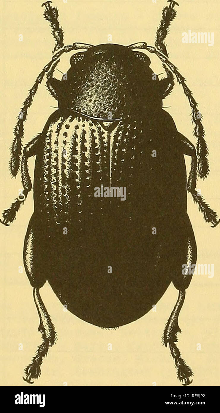 . Cooperative economic insect report. Beneficial insects; Insect pests ...