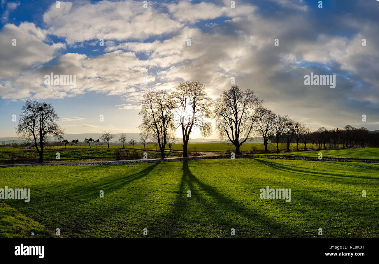 A green field in the front, trees in the middle throwing huge shadows ...
