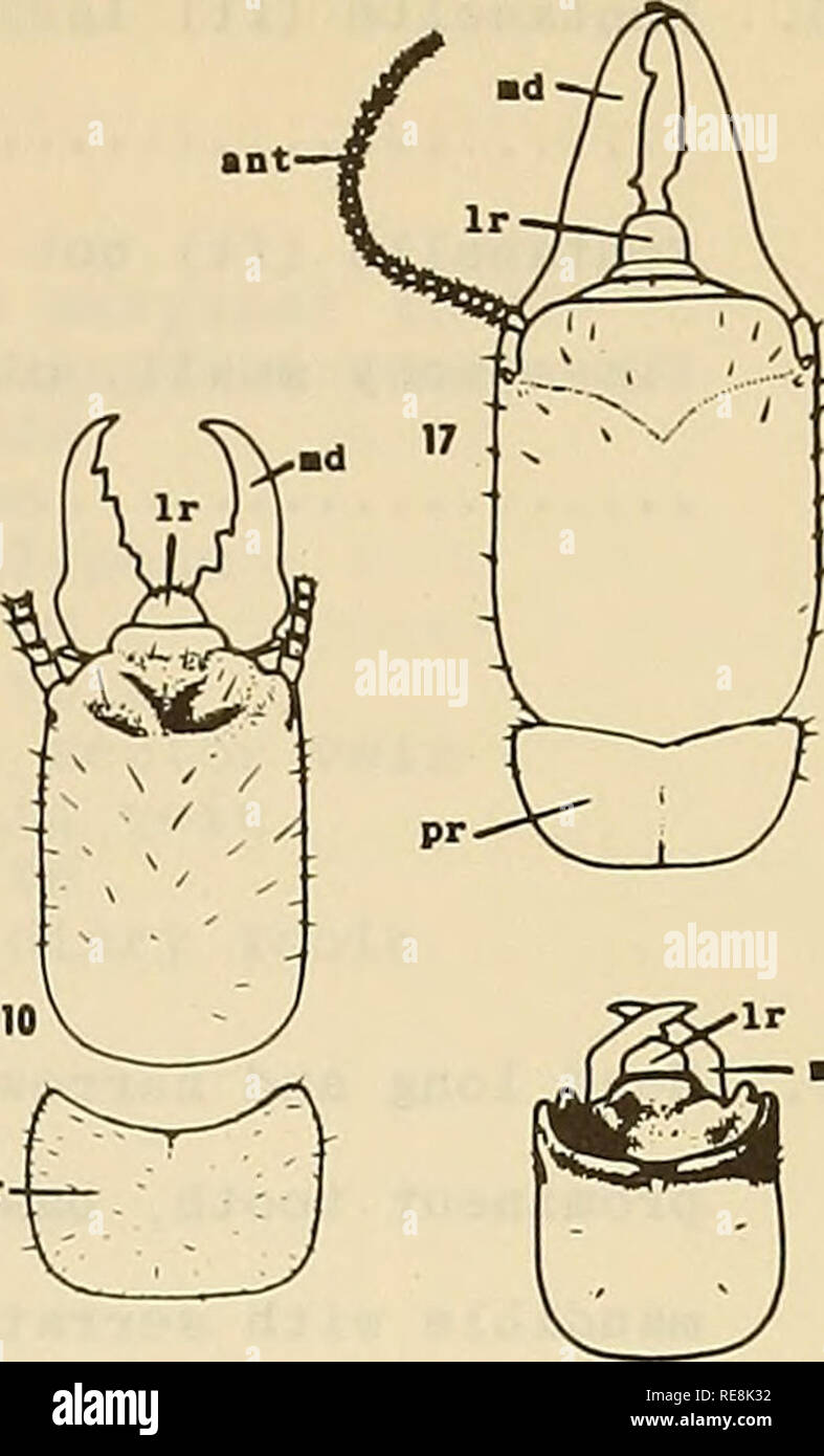 . Cooperative economic insect report. Beneficial insects; Insect pests ...
