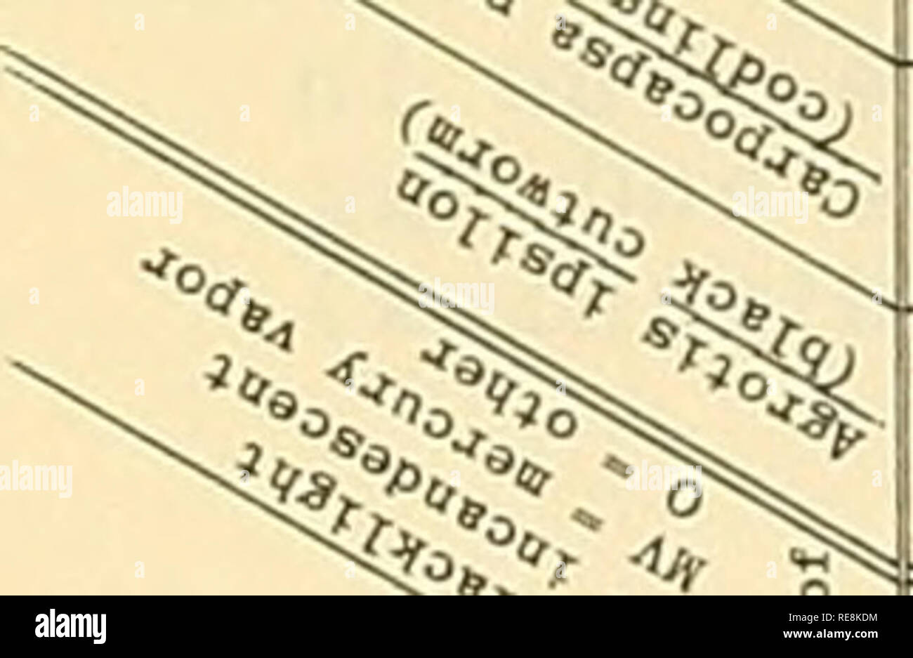 Cooperative Economic Insect Report Beneficial Insects Insect Pests To J O O Oh A H Cm To 1 C 10 Oi C 1 3 N 1 Z 0 1 3 A 0 Gt