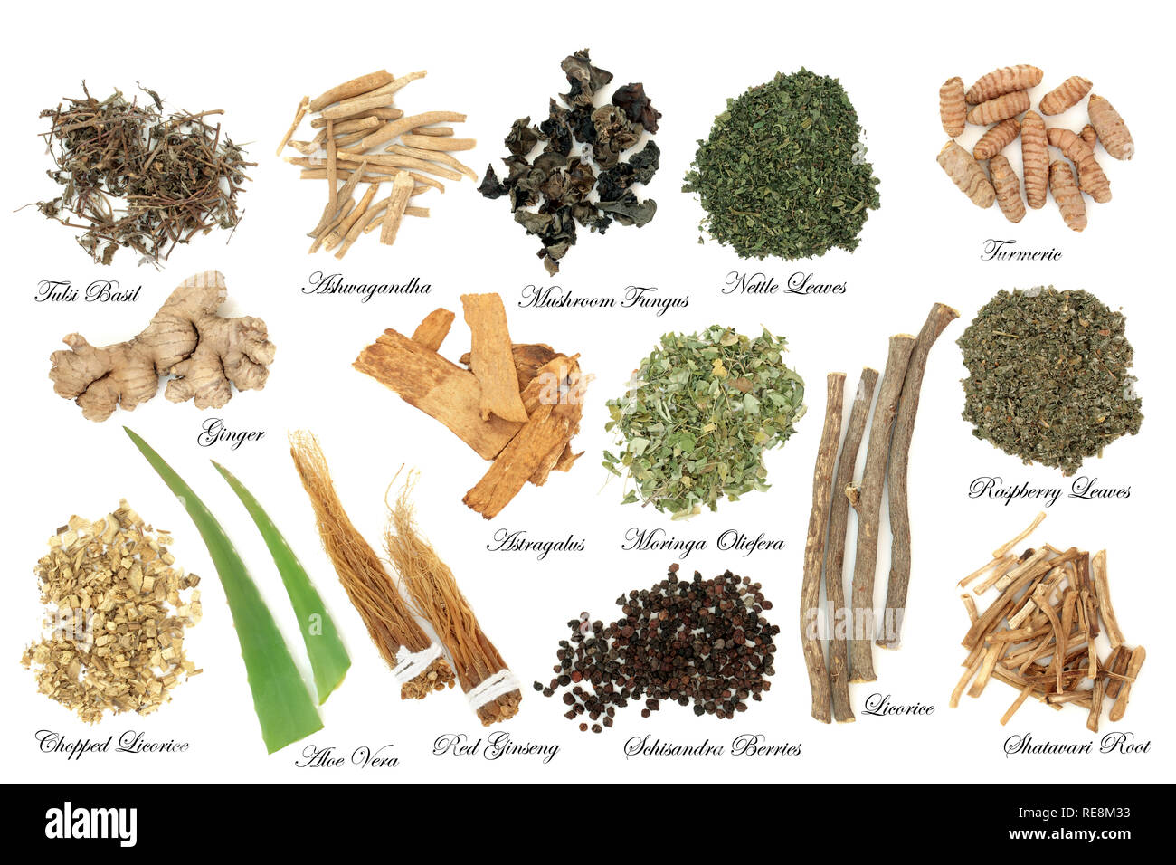 Adaptogen herb and spice selection on white background. Used in herbal medicine to help the body resist the damaging effect of stress. Stock Photo