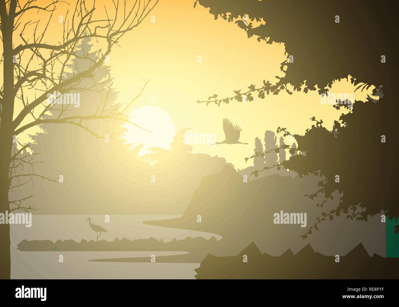 Realistic illustration of landscape and wetland with standing and ...