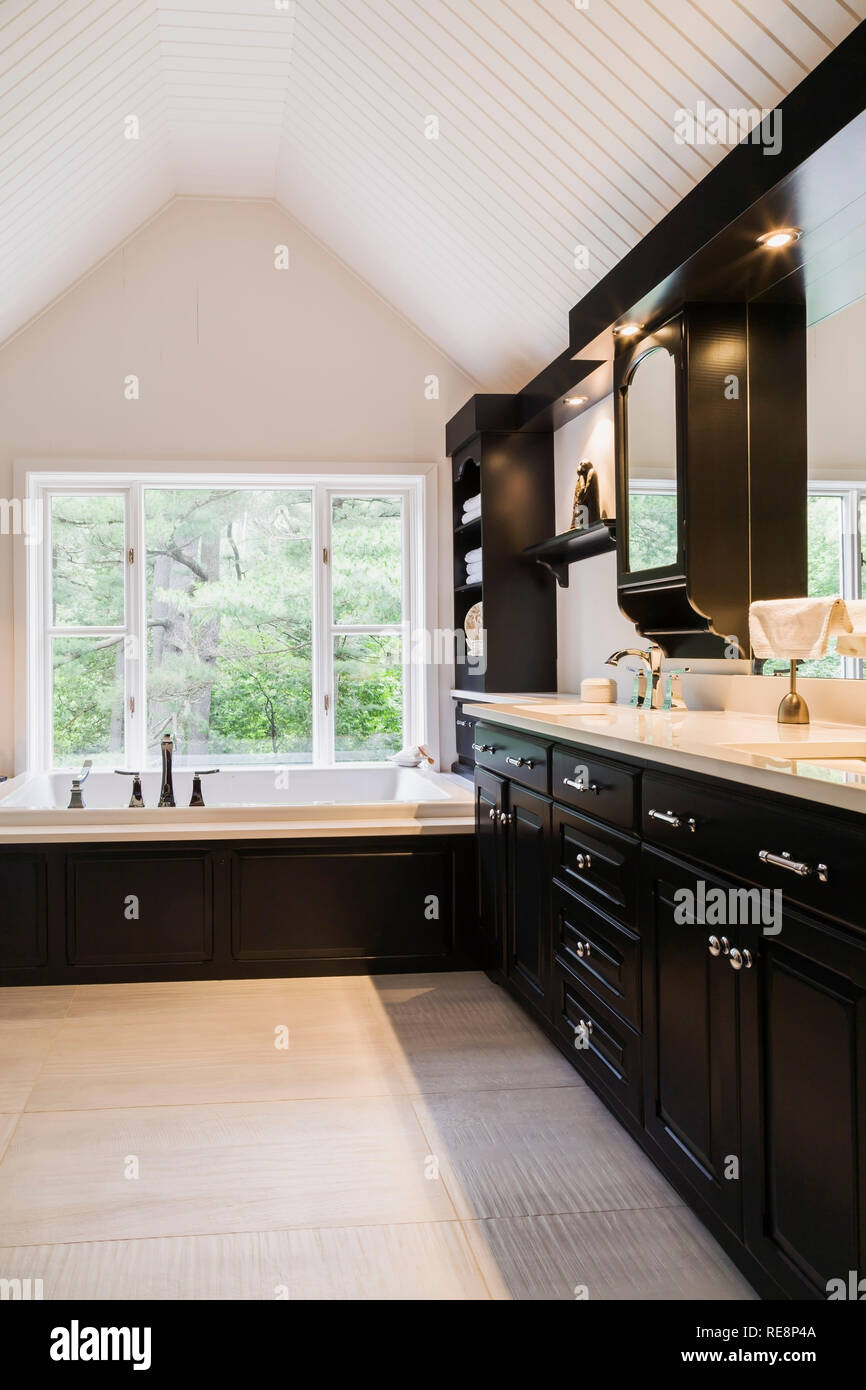 Black lacquered cabinets with corian countertop in ensuite on upper floor inside a New Hampton style home Stock Photo