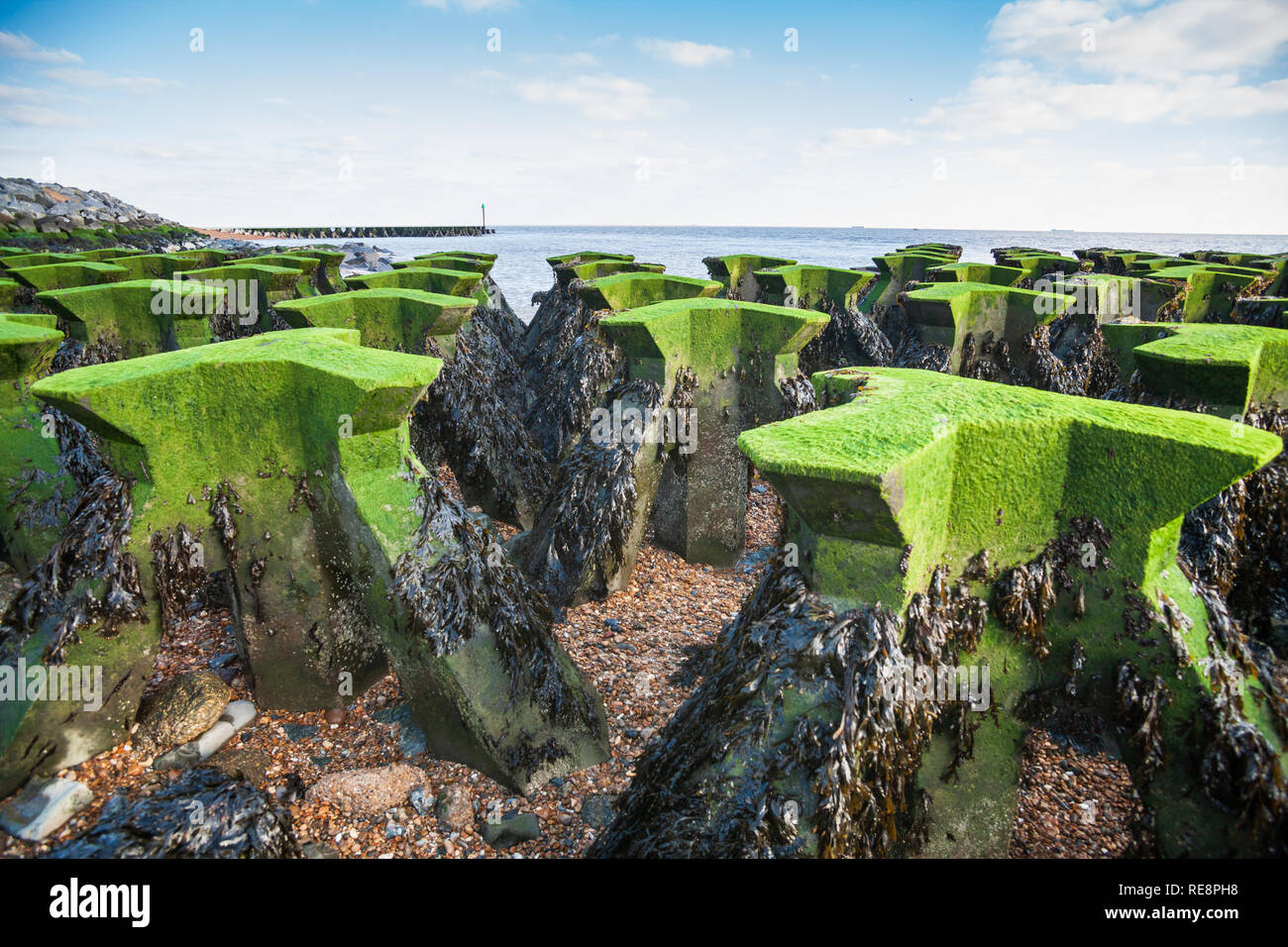 view of sea defences, concrete breakwaters at cobbolds point felixstowe