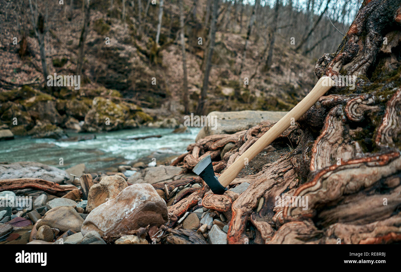axe is at the tree Stock Photo - Alamy