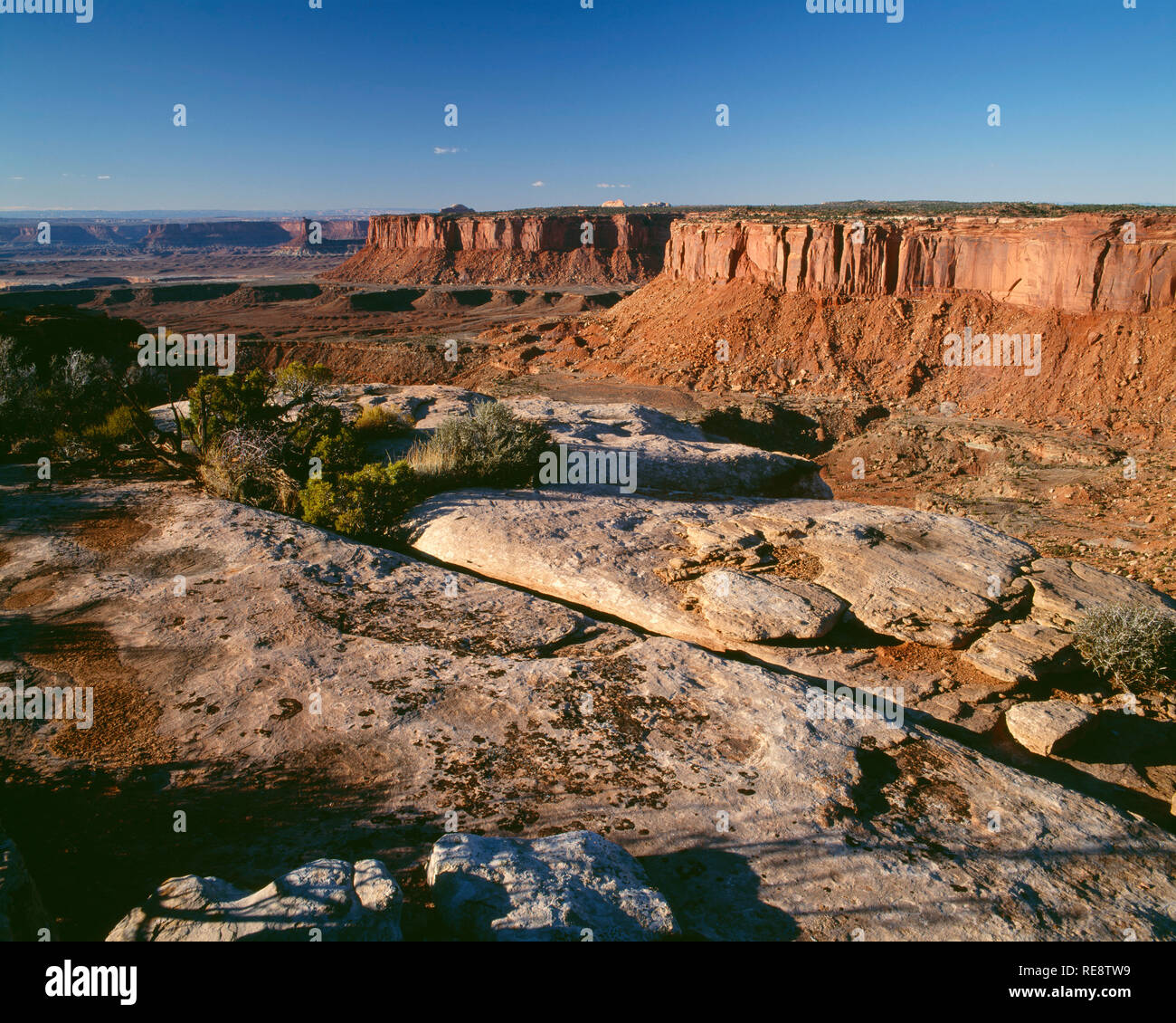 USA, Utah, Canyonlands National Park, View towards Murphy Basin and distant Candlestick Tower, from Grand View Point, Island in the Sky District. Stock Photo