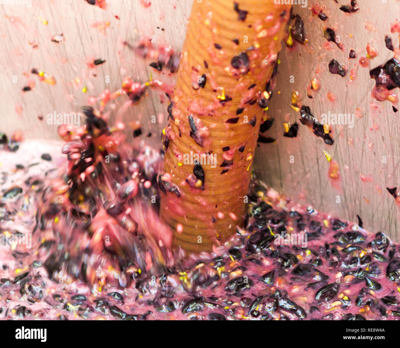 The grape crush california hires stock photography and images Alamy