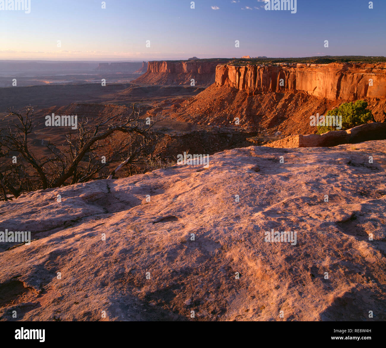 USA, Utah, Canyonlands National Park, View at sunset towards Murphy Basin and distant Candlestick Tower, from Grand View Point, Island in the Sky. Stock Photo