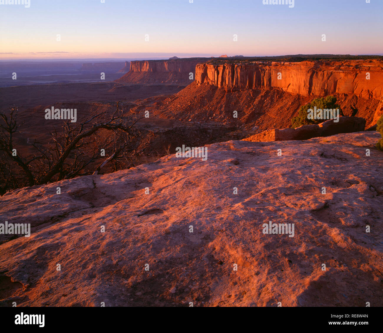USA, Utah, Canyonlands National Park, View at sunset towards Murphy Basin and distant Candlestick Tower, from Grand View Point, Island in the Sky. Stock Photo