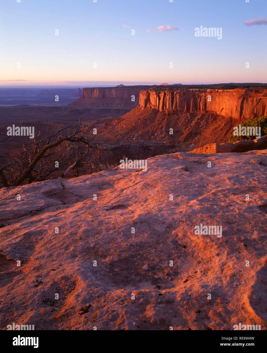 USA, Utah, Canyonlands National Park, View at sunset towards Murphy Basin and distant Candlestick Tower, from Grand View Point, Island in the Sky. Stock Photo