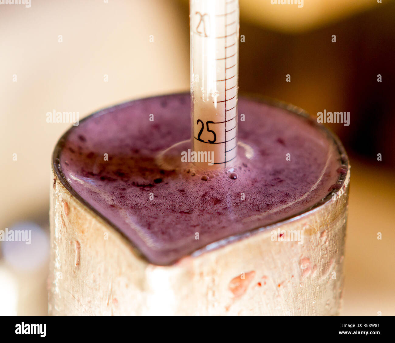 Measuring sugar content (% Brix) of newly harvested and crushed wine grape juice using a hydrometer. Healdsburg, California, USA Stock Photo