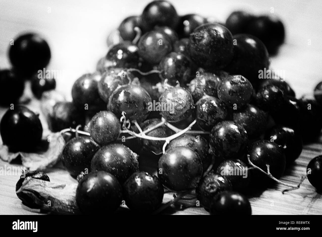 Currant black , or garden Currants (lat. Ríbes rúbrum) - a small deciduous shrub of the family of gooseberry Stock Photo