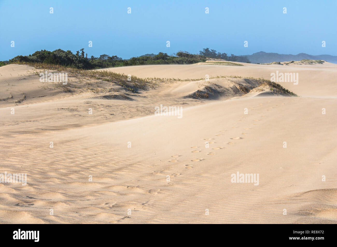 Sand dunes of Santa Lucia, South Africa Stock Photo Alamy