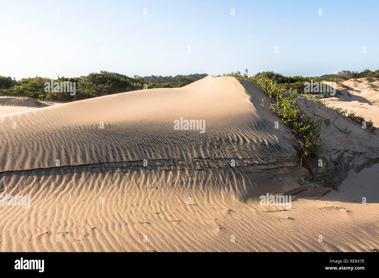 Sand dunes of Santa Lucia, South Africa Stock Photo Alamy