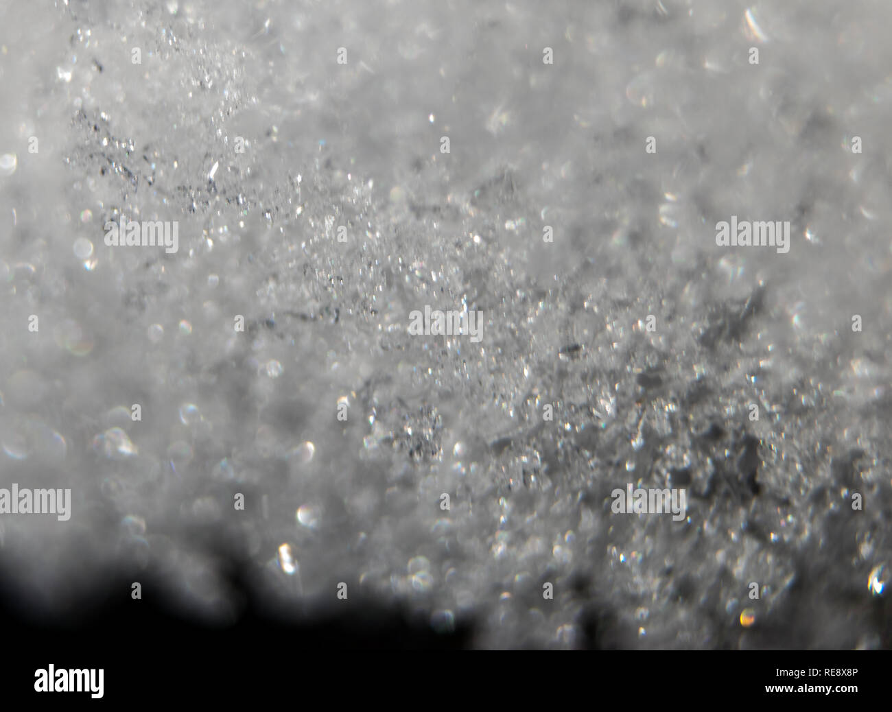 Macro pictures of snow and ice crystals on pine branches on an extremely cold winter January day in Calgary, Alberta, Canada. Stock Photo
