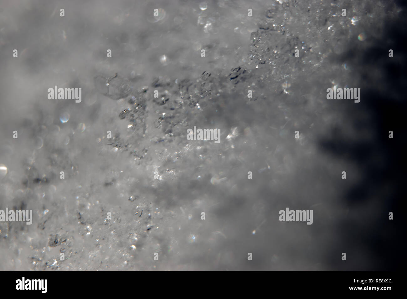 Macro pictures of snow and ice crystals on pine branches on an extremely cold winter January day in Calgary, Alberta, Canada. Stock Photo