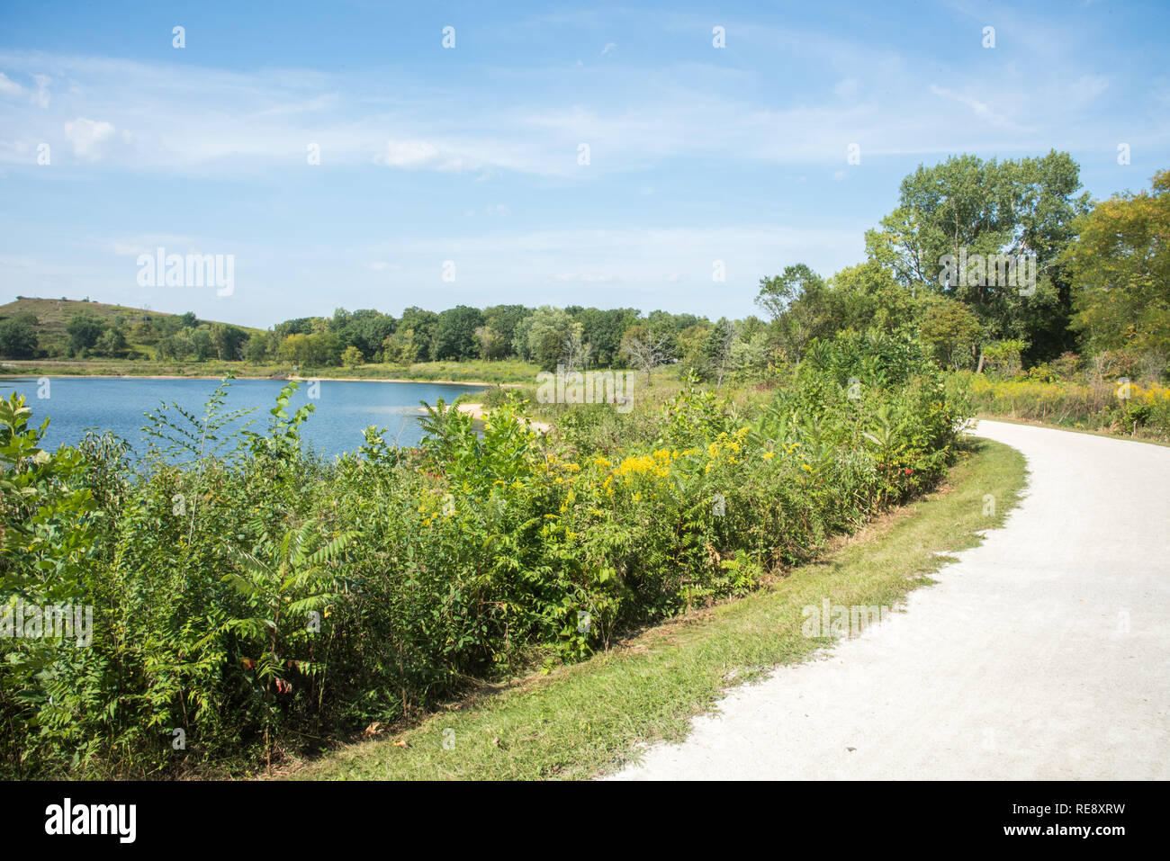 Waterfront footpath with grasses and wildflowers at McDowell Grove