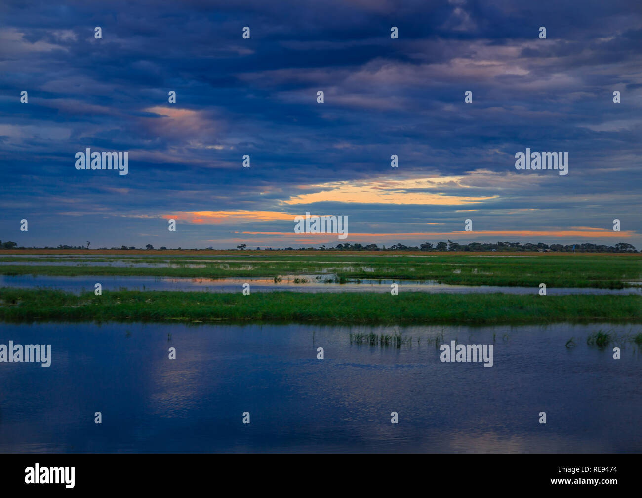 Landscape picture of the Chobe River at the Chobe National Park in Botsuana during summer Stock Photo