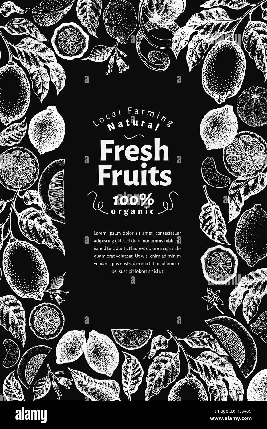 Vintage citrus banner template. Lemon tree design. Hand drawn vector fruit illustration on chalk board. Engraved style menu cover. Stock Vector