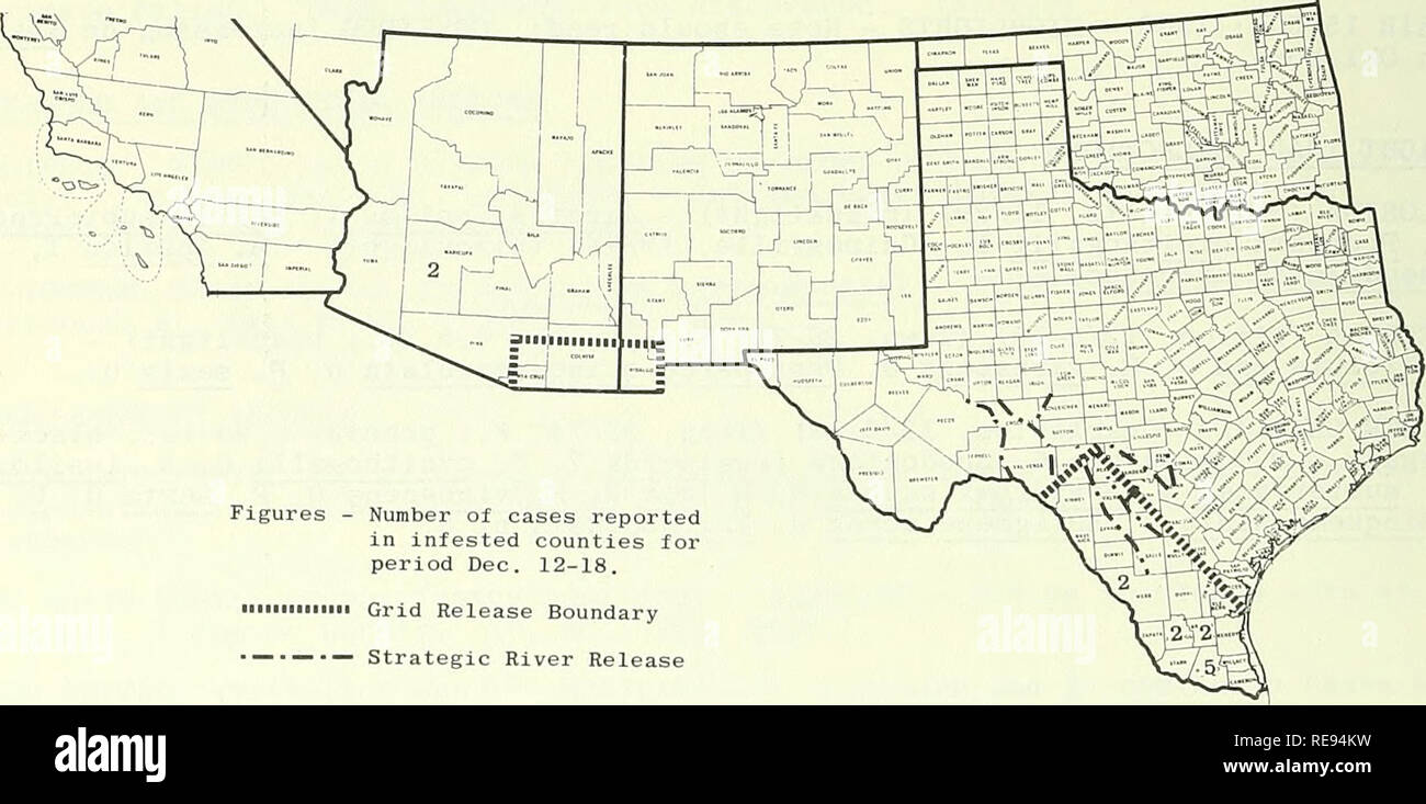 . Cooperative economic insect report. Beneficial insects; Insect pests. - 1340 - STATUS OF THE SCREW-WORM (Cochliomyia hominivorax) IN THE SOUTHWEST During the period December 12-18, a total of 13 cases was reported in the Southwestern Eradication Area by States and counties as follows: TEXAS - Hidalgo 5, Webb 2, Brooks 2, Jim Hogg 2; ARIZONA - Maricopa 2. The Republic of Mexico reported 78 cases: Sonora 6, Coahuila 4, Chihuahua 31, Nuevo Leon 3, Tamaulipas 20, Territorio sur de Baja California 14. Sterile screw-worm flies released: Texas 19,406,250, Arizona 3,400,000, New Mexico 600,000, and  Stock Photo