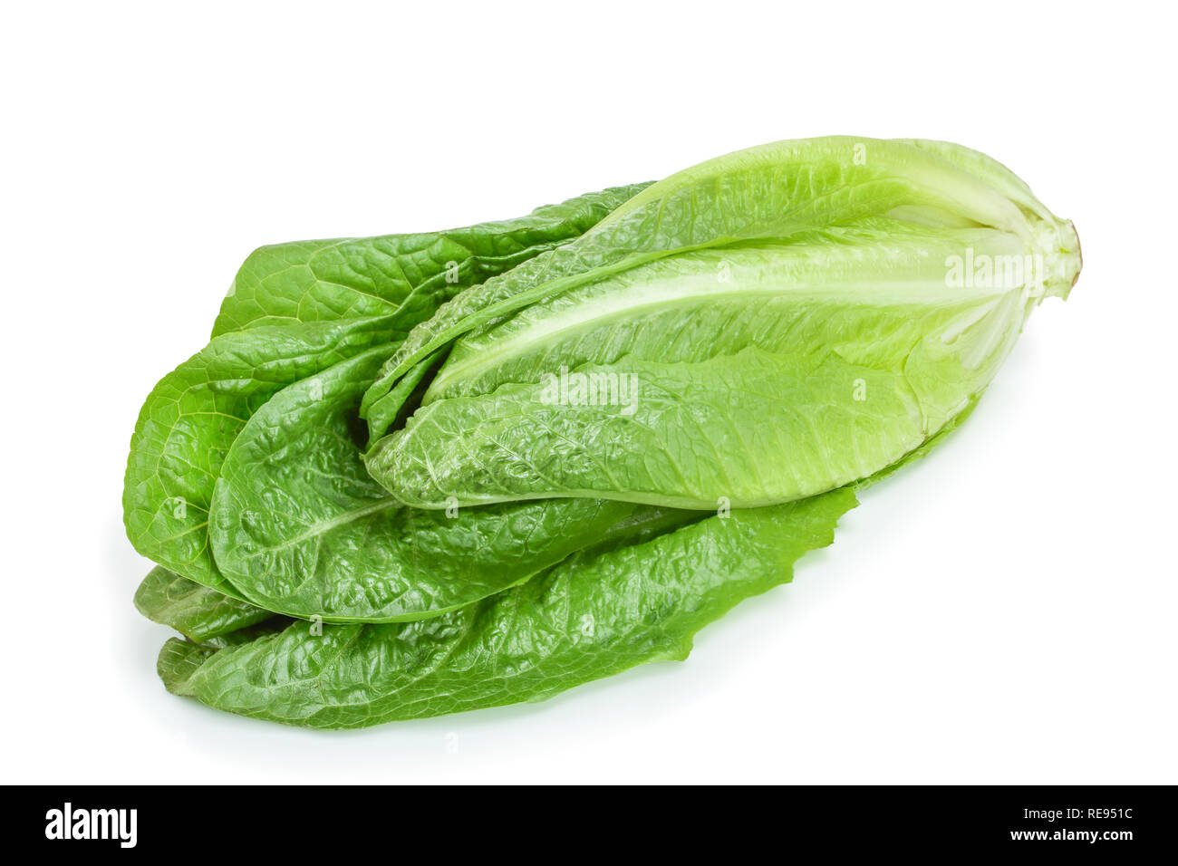 fresh roman cos lettuce isolated on a white background Stock Photo