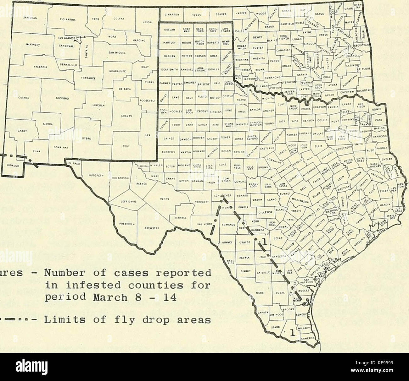. Cooperative economic insect report. Beneficial insects; Insect pests. - 215 - INSECTS AFFECTING MAN AND ANIMALS STATUS OF THE SCREW-WORM (Cochliomyia homlnivorax) IN THE SOUTHWEST Two cases of myiasis have recently been disclosed in Texas. The first case found in dehorning wound of cow near Edinburg, Hidalgo County, March 11. Second case found in herd near Castroville, Medina County. The herds have been treated with a pesticide and the areas involved are receiving extra sterile screw-worm flies each week to supress outbreaks. Texas livestock producers submitted 81 samples which were not scre Stock Photo