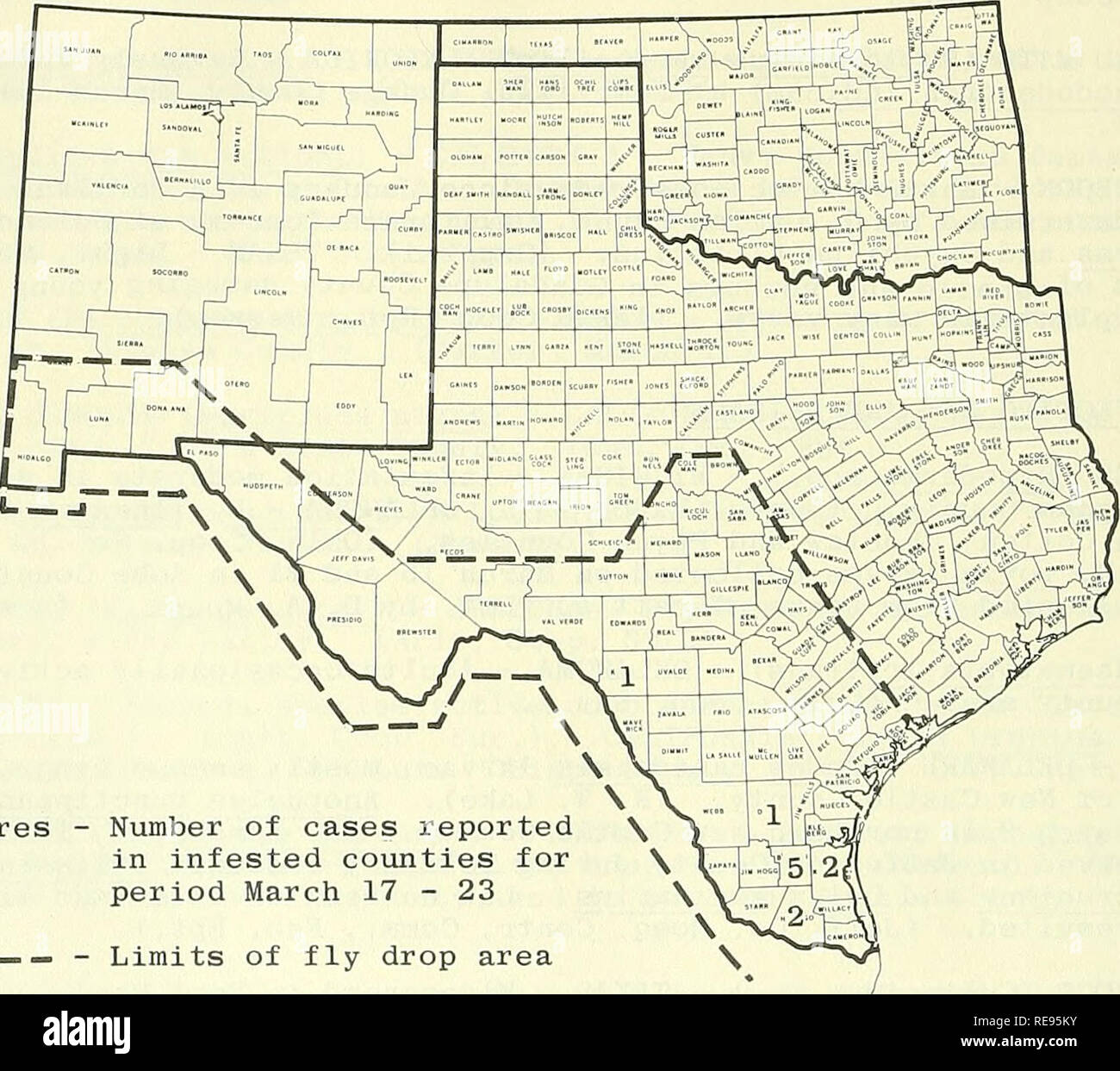 . Cooperative economic insect report. Beneficial insects; Insect pests. 286 - STATUS or THE SCREW-WORM (Cochliomyia hominivorax) IN THE SOUTHWEST During the period March 17-23, a total of 11 cases were identified. An additional screw-worm case was found in Kinney County, TEXAS, about 20 miles from the Rio Grande and about 20 miles from the previously reported Kinney County case. Screw-worm was also found during this period in Brooks, Kenedy, Hidalgo and Duval Counties. The specimen from Duval County is the first from that county since January 17, 1963. A total of 98 million sterile screw-worm  Stock Photo