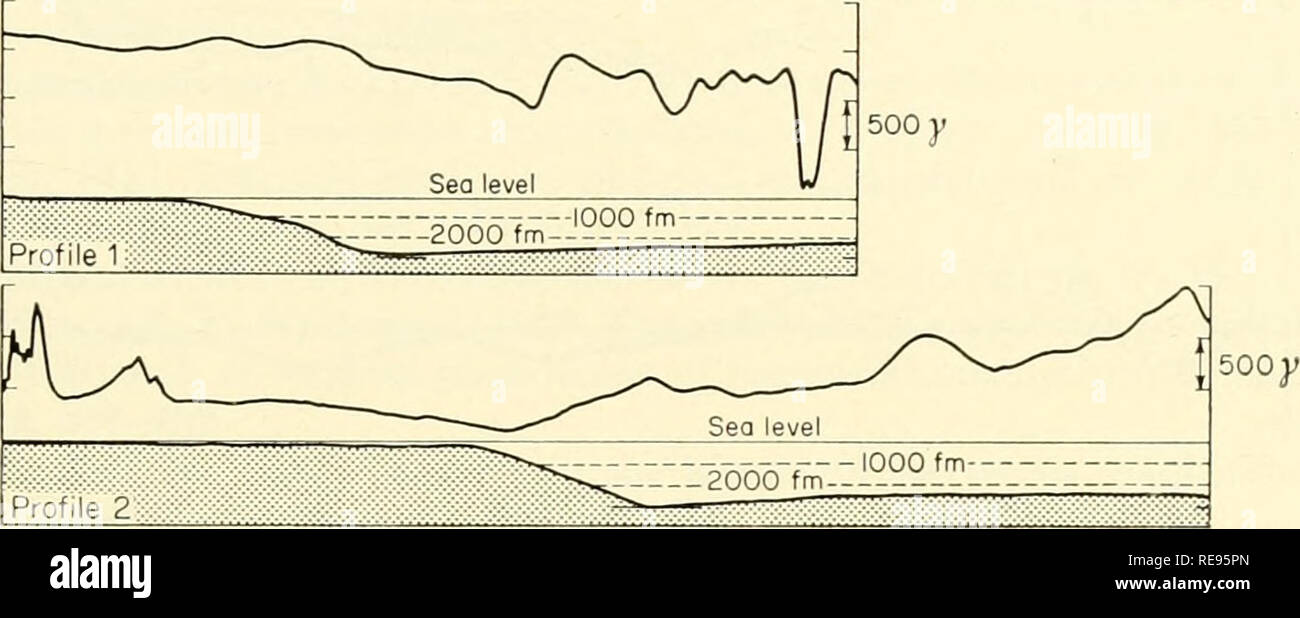 . The Earth beneath the sea : History. Ocean bottom; Marine geophysics. --â iTc,- cA=Â«; /Â«- -'Â«- -&gt; Profile 1 Profile 3 Profile 2 Profile 8 Profile 7^?Â°Â° Profiled 'â¢Â° ,'&quot; t^-' Profile 4 Profile 5 50Â° 160Â° 150Â°. - X^â!l :^^^^ Sea level . &quot;^^ ^^^-- -iooo f m:'???iT::: Profile imm Wm^^m^M:::^ &quot;^ ^  Sea level mmm^ 1000 fm '----^- ?000 fm-- â â -,--;; Profile 4 ^&quot;S-^â-T&quot;^ 500 y 500; Nautical miles 0 20 40 60 I- SCALE VERTICAL SCALE. Please note that these images are extracted from scanned page images that may have been digitally enhanced for readability -  Stock Photo